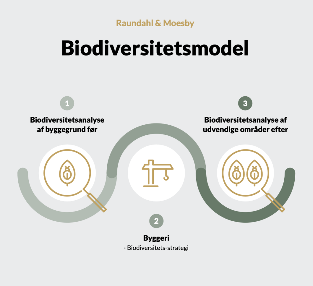 Raundahl & Moesbys tilgang til biodiversitet